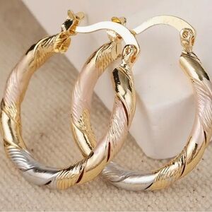 Elegant Gold and Silver Twisted Hoop Earrings - New